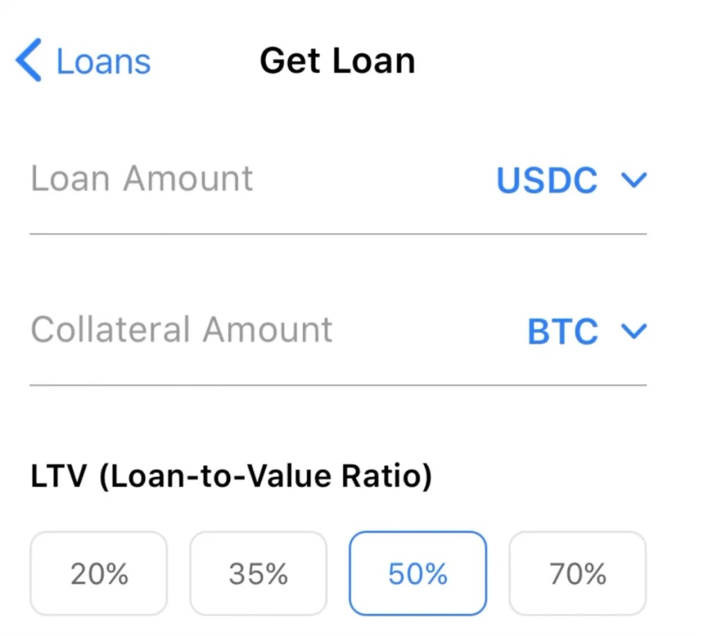 CoinLoan loan amount and LTV