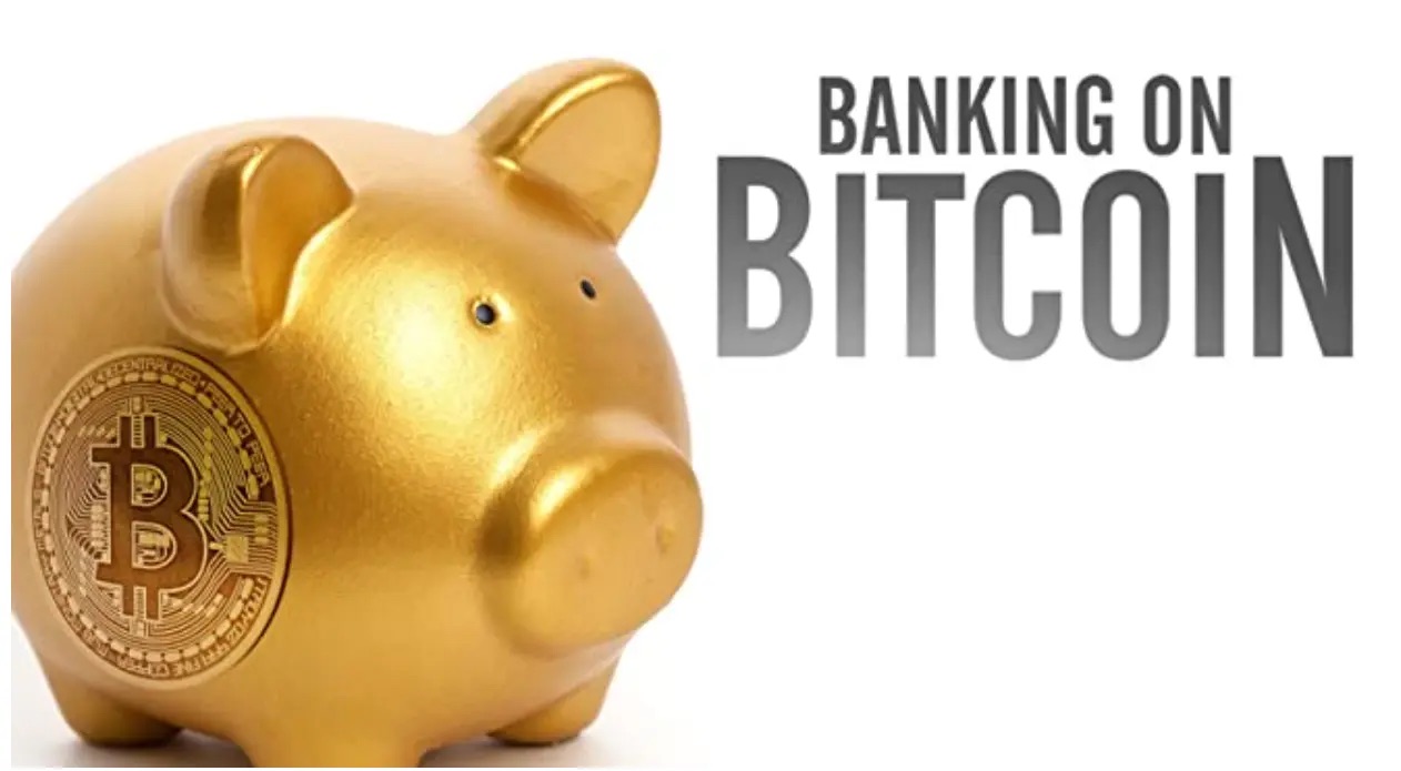 Banking on Bitcoin documentary