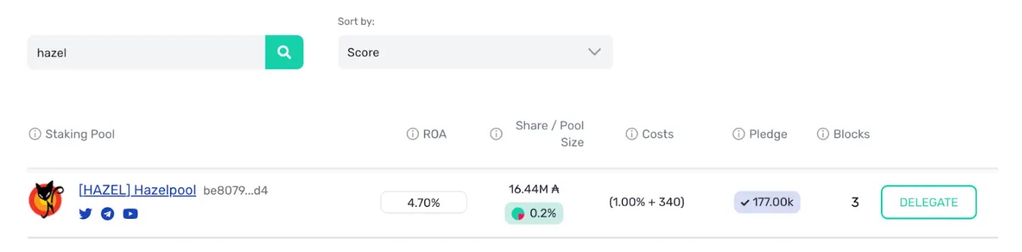 Yoroi wallet ADA staking pool
