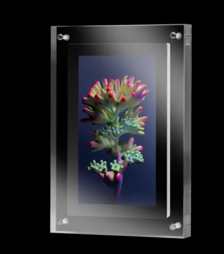 Infinite Objects NFT Display