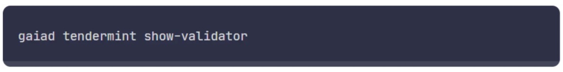 show-validator terminal command