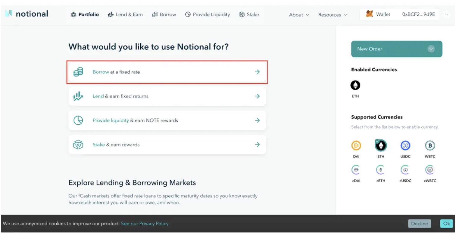 notional finance borrow