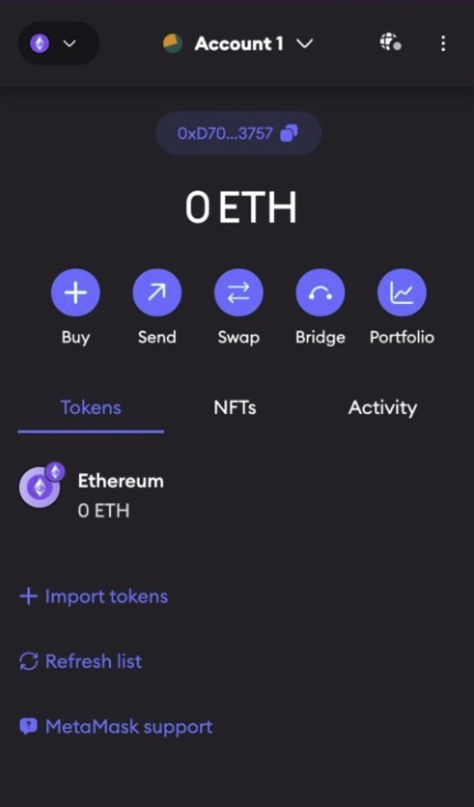 MetaMask versus MetaMask Portfolio