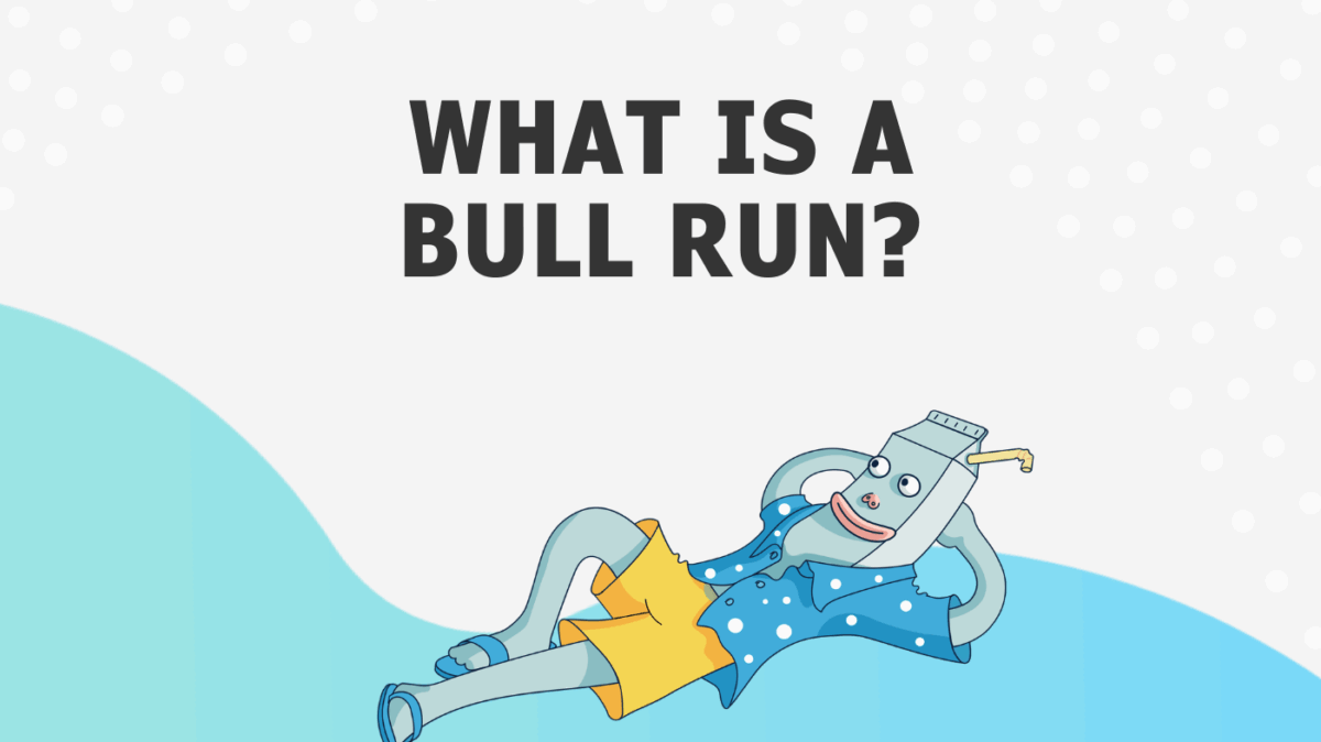 what is a bull run