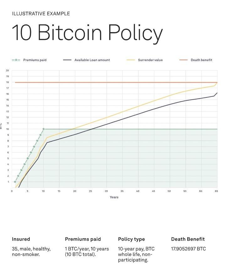 illustrative example of a 10 bitcoin policy with meanwhile, and how it progresses in value over time